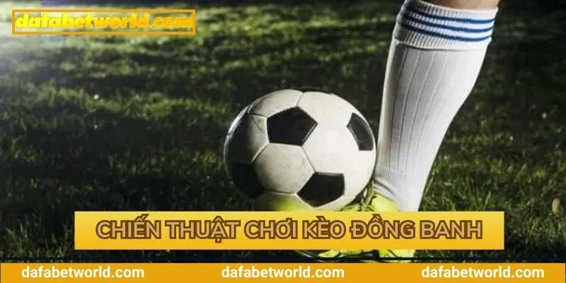 Chiến lược cược thắng lớn dành cho bet thủ